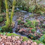 Apartamento O Campo Dafolla