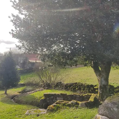 O Campo Dafolla Caroy