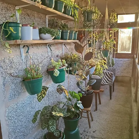 Apartament O Campo Dafolla *
