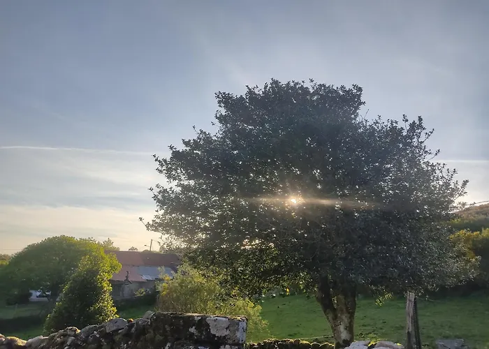 公寓 O Campo Dafolla *