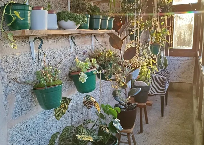 公寓 O Campo Dafolla *