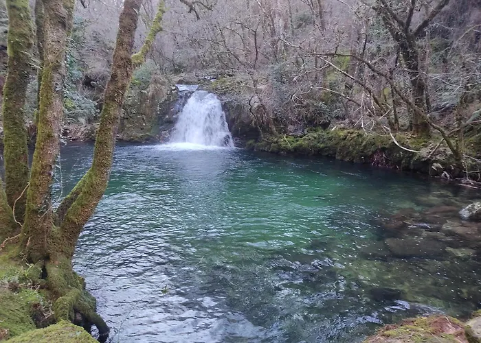 公寓 O Campo Dafolla *