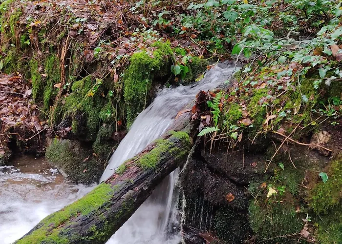 O Campo Dafolla 公寓 Caroy