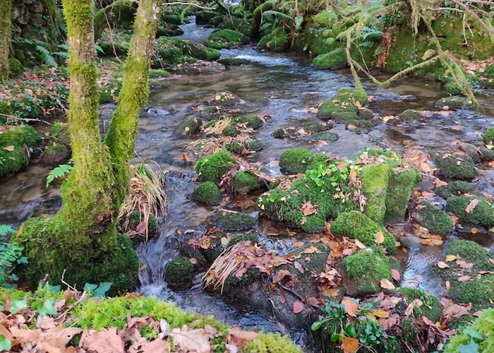 公寓 O Campo Dafolla